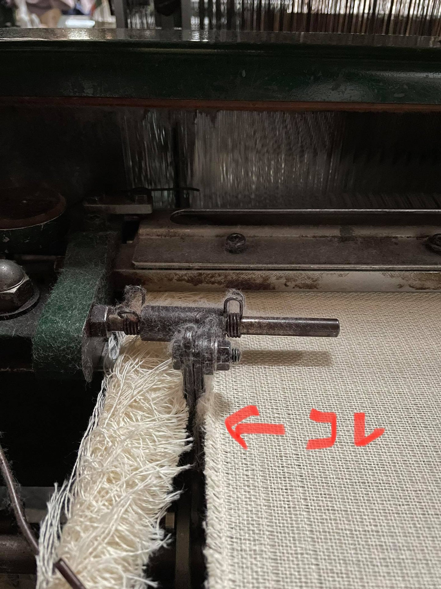 もったいないをなくしたい「みみ」あなたはどう調理する?